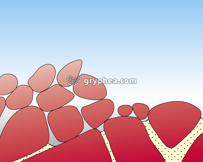 Formation d'un chaos granitique - étape 6 - gryphea.org